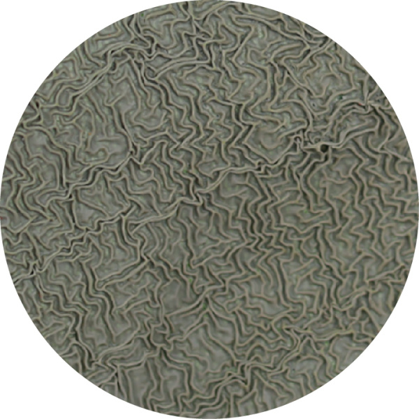 Перчатки BOXER из полиэстера с латексным покрытием, зеленые, BXR1910